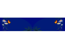 ������� ����� 33.jpg