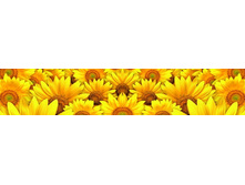 ������� ����� 47.jpg