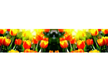 ������� ����� 48.jpg