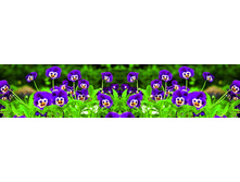 ������� ����� 49.jpg