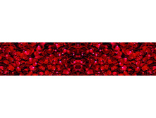 ������� ����� 51.jpg