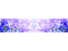 ������� ����� 53.jpg