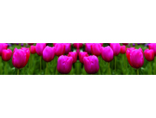 ������� ����� 54.jpg