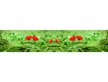 ������� ����� 55.jpg