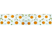 ������� ����� 56.jpg