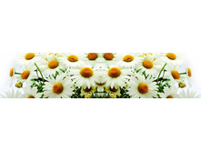 ������� ����� 57.jpg