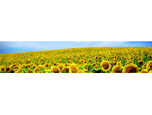 ������� ����� 59.jpg