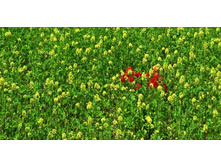 ������� ����� 62.jpg