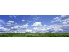 ������� ����� 64.jpg