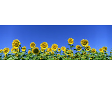 ������� ����� 65.jpg