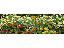 ������� ����� 66.jpg