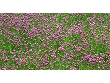 ������� ����� 67.jpg