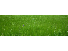 ������� ����� 68.jpg