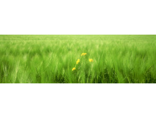 ������� ����� 69.jpg