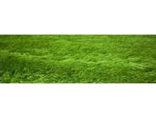 ������� ����� 70.jpg