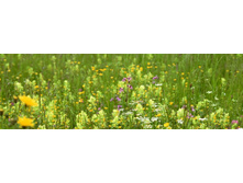 ������� ����� 71.jpg