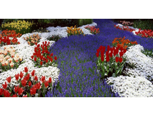 ������� ����� 72.jpg