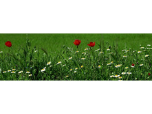 ������� ����� 73.jpg