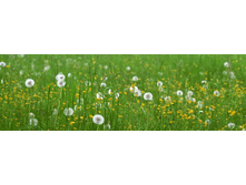 ������� ����� 75.jpg