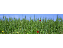 ������� ����� 77.jpg