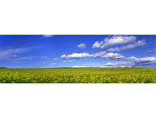 ������� ����� 79.jpg