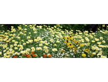 ������� ����� 80.jpg