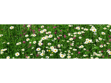 ������� ����� 82.jpg