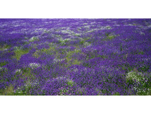 ������� ����� 83.jpg