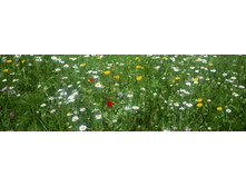 ������� ����� 84.jpg