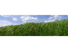 ������� ����� 86.jpg