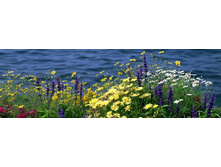 ������� ����� 87.jpg