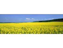 ������� ����� 88.jpg