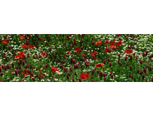 ������� ����� 89.jpg