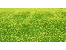 ������� ����� 90.jpg