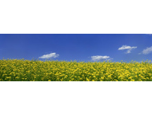 ������� ����� 94.jpg