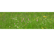 ������� ����� 97.jpg