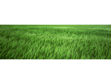 ������� ����� 98.jpg