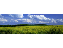 ������� ����� 100.jpg