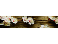 ������� ����� 103.jpg