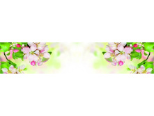 ������� ����� 104.jpg