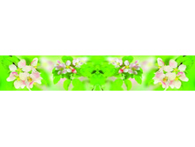 ������� ����� 105.jpg