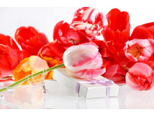 ����� 1.jpg