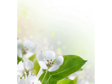 ����� 4.jpg