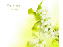 ����� 10.jpg