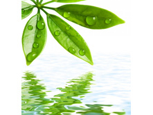 ����� 11.jpg