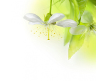 ����� 12.jpg