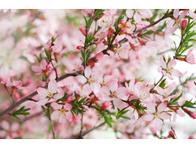 ����� 13.jpg