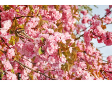 ����� 14.jpg