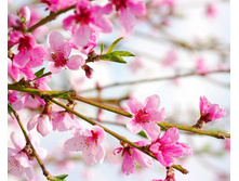 ����� 15.jpg