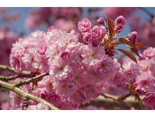 ����� 17.jpg